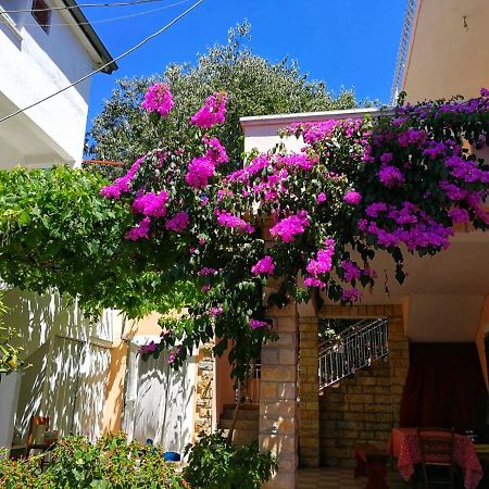 Apartmani Leon Biograd Na Moru Exteriér fotografie