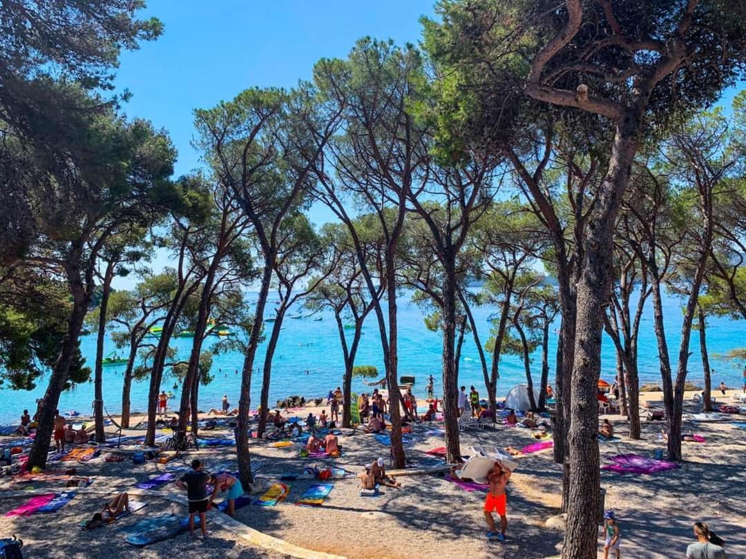 Apartmani Leon Biograd Na Moru Exteriér fotografie